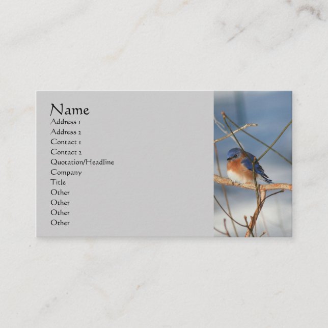 Tarjeta de visita Winter Bluebird Nature (Anverso)