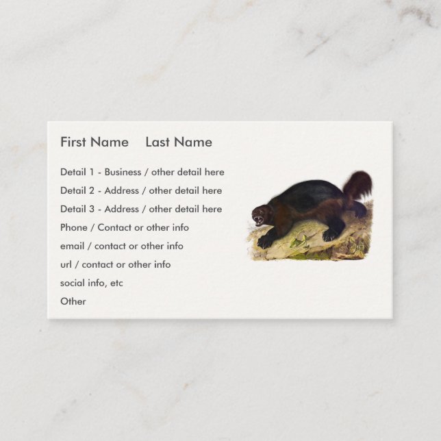 Tarjeta De Visita Wolverine o Wolverene (Gulo gulo) de Audubon (Anverso)