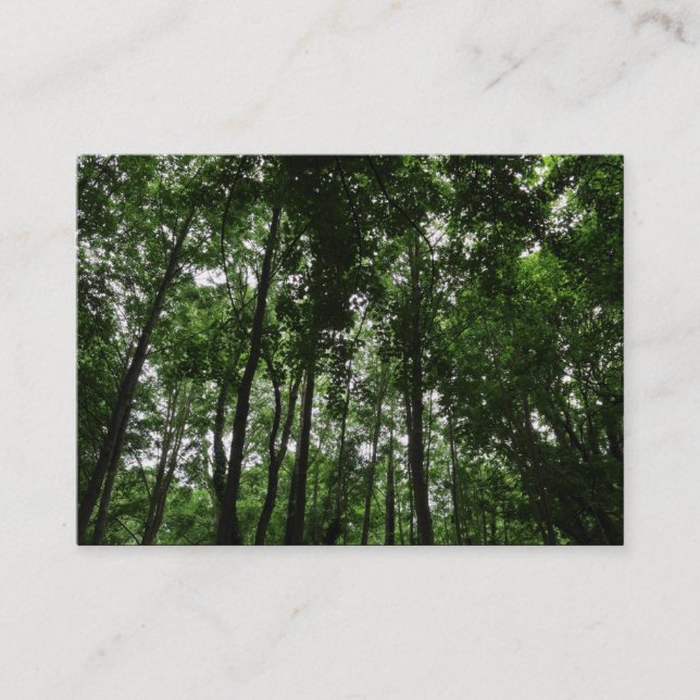 Tarjeta De Visita Woodland Canopy 02 (Anverso)