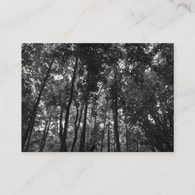 Tarjeta De Visita Woodland Canopy 02 BW (Anverso)