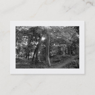 Tarjeta De Visita Woods Bute Park, Cardiff, Mini Photo