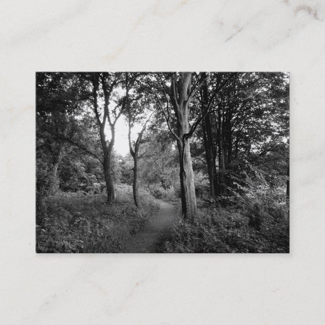 Tarjeta De Visita Woods Bute Park, Cardiff, Mini Photo (Anverso)