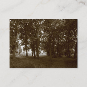 Tarjeta De Visita Woods, Bute Park Cardiff - Sepia tonificado