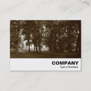 Tarjeta De Visita Woods, Bute Park Cardiff - Sepia tonificado