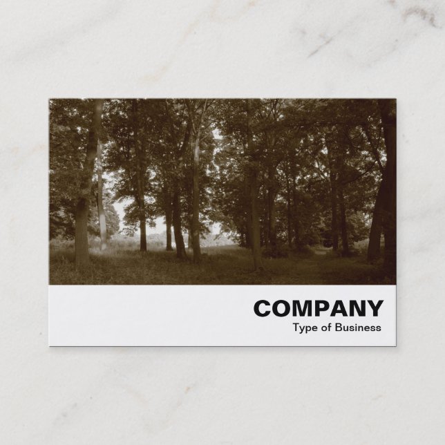 Tarjeta De Visita Woods, Bute Park Cardiff - Sepia tonificado (Anverso)