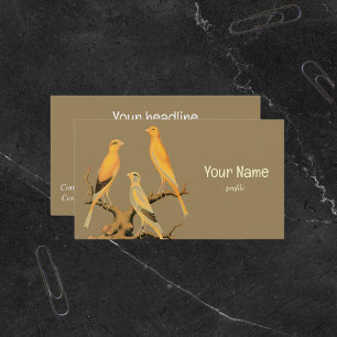 Tarjeta De Visita Yorkshire Canary Vintage