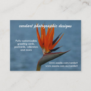 Tarjeta De Visita zazzle del cardart