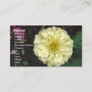 Tarjeta De Visita Zinnia blanca