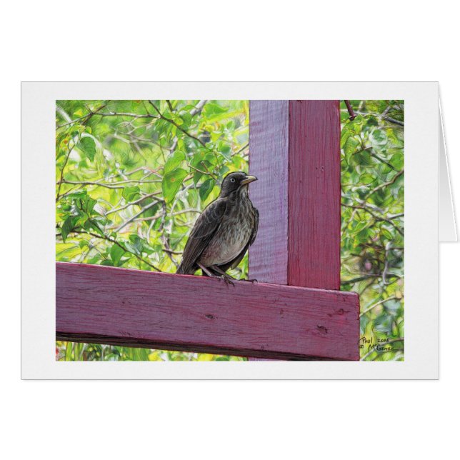 Tarjeta de "visitante de la isla" Paul McGehee (Anverso (Horizontal))