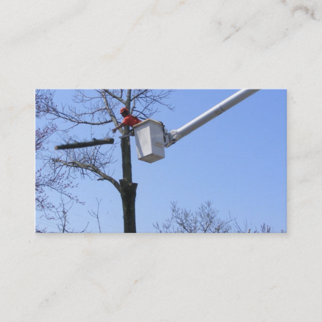 Tarjeta de visitas del ~ del retiro del árbol (Anverso)