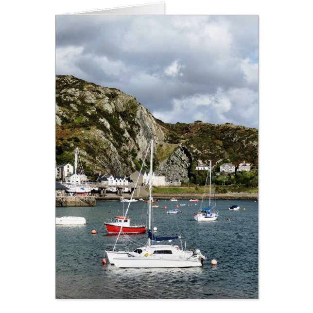 Tarjeta de vistas de GALES (Frente)