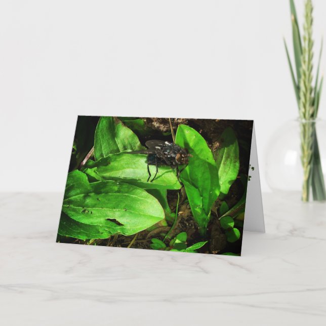 Tarjeta de "vuelo" (Anverso)