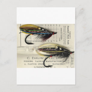 Tarjeta de vuelo clásico de Salmon
