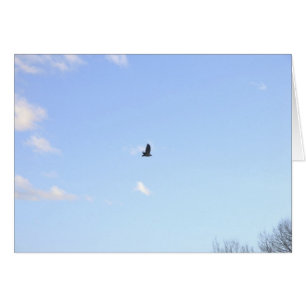 Tarjeta De Vuelo Red Tail Hawk In Flight