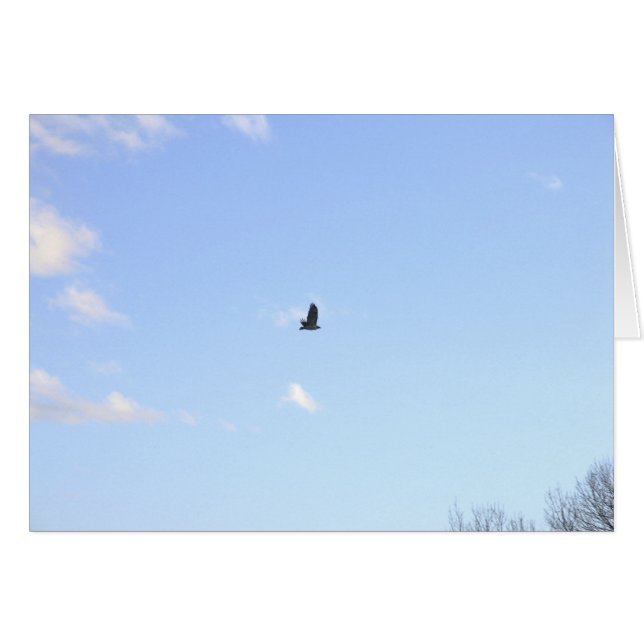 Tarjeta De Vuelo Red Tail Hawk In Flight (Anverso (Horizontal))