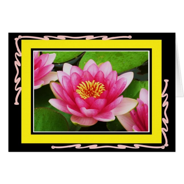 Tarjeta de Waterlily (Anverso (Horizontal))