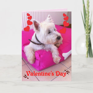 Tarjeta de Westie del el día de San Valentín