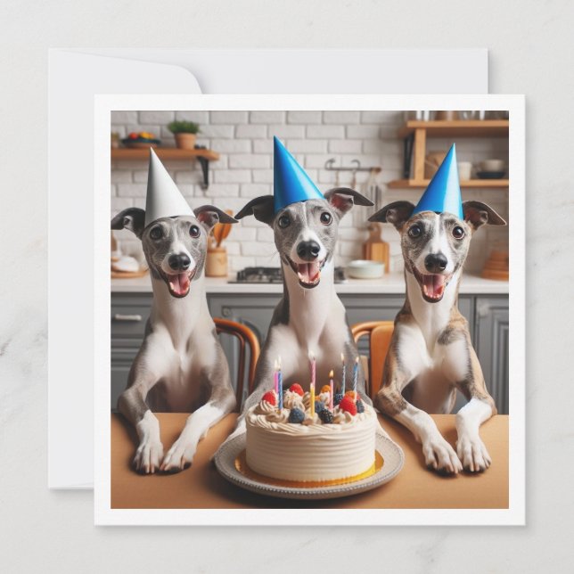 Tarjeta de Whippet, cumpleaños de Whippet, Whippet (Anverso)