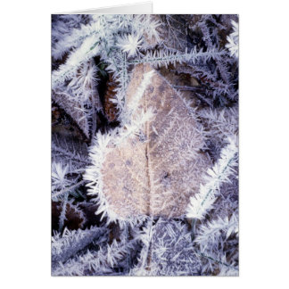 Tarjeta de Winterscapes