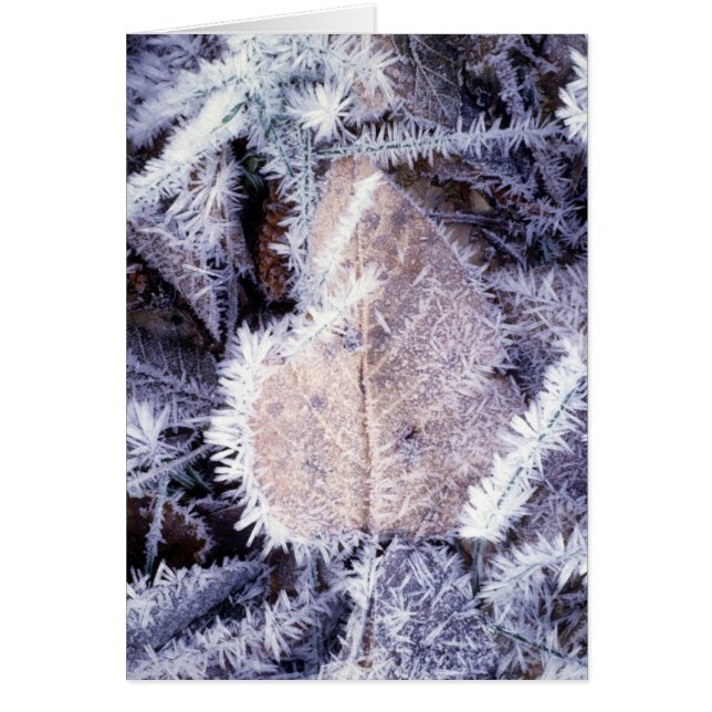 Tarjeta de Winterscapes (Frente)