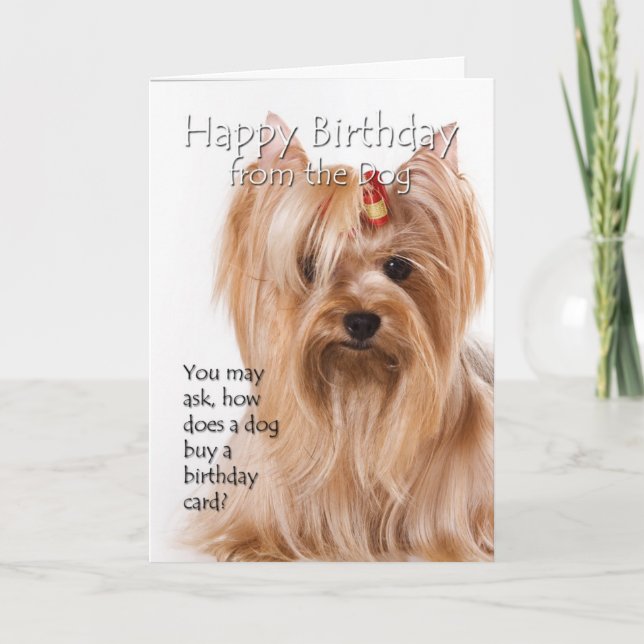 Tarjeta De Yorkie (Anverso)