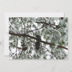 Tarjeta Debajo de la foto del invierno de un pino cubierto