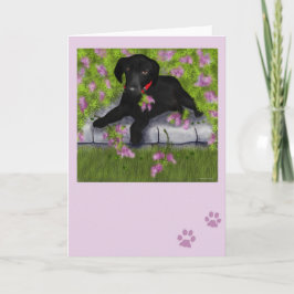 Tarjeta Debajo de las lilas