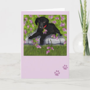 Tarjeta Debajo de las lilas