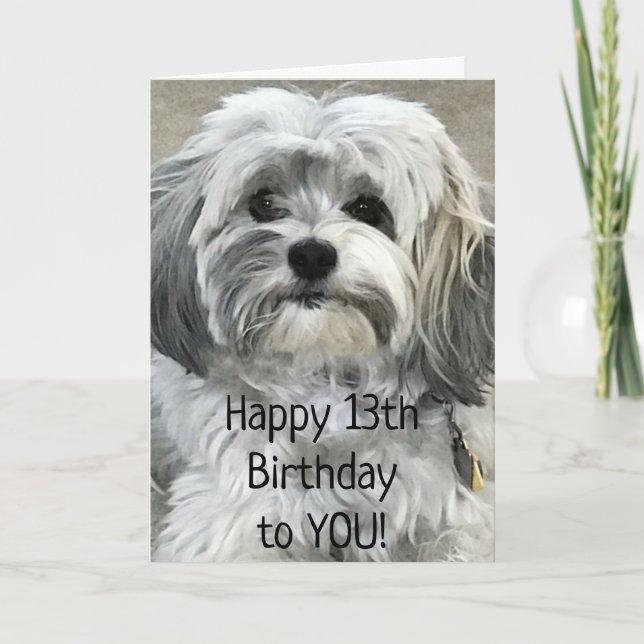 TARJETA DEBE SER GRANDE PARA SER UN CUMPLEAÑOS "13" DE ADO (Anverso)