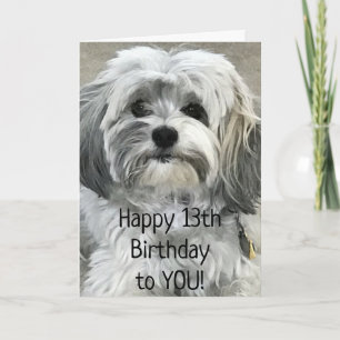 TARJETA DEBE SER GRANDE PARA SER UN CUMPLEAÑOS "13" DE ADO