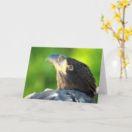 Tarjeta Decorah North Eagles: La luna de flores