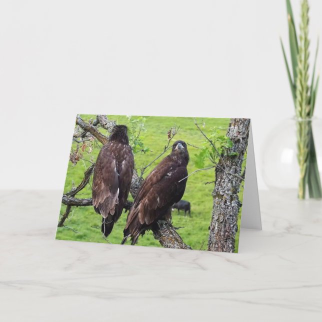 Tarjeta Decorah North Eagles: La luna de fresa (Anverso)