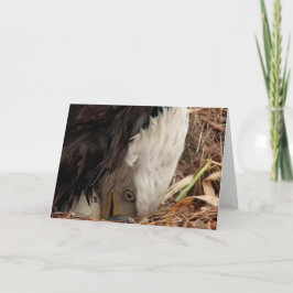 Tarjeta Decorah North Eagles: La luna de gusano