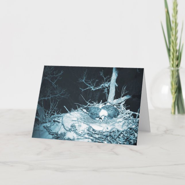 Tarjeta Decorah North Eagles: La luna de nieve (Anverso)