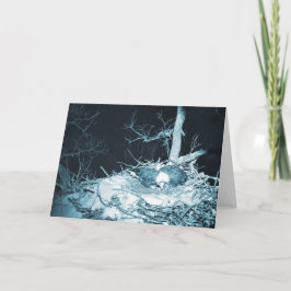 Tarjeta Decorah North Eagles: La luna de nieve