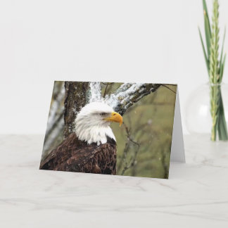 Tarjeta Decorah North Eagles: La luna del castor