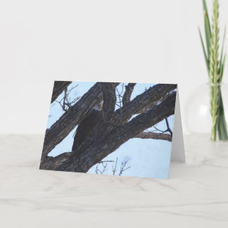 Tarjeta Decorah North Eagles: La luna del lobo