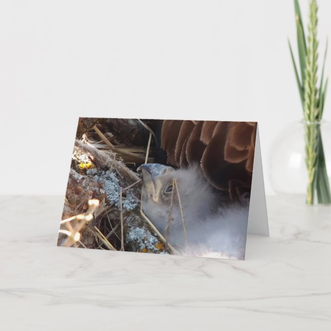 Tarjeta Decorah North Eagles: La Luna Rosa (Anverso)