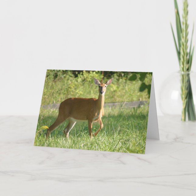 Tarjeta Deer (Anverso)