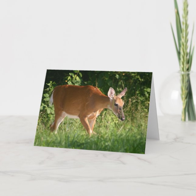 Tarjeta Deer (Anverso)