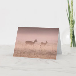 Tarjeta Deer at Dawn