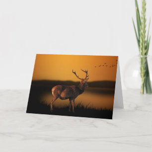 Tarjeta Deer Blank Card