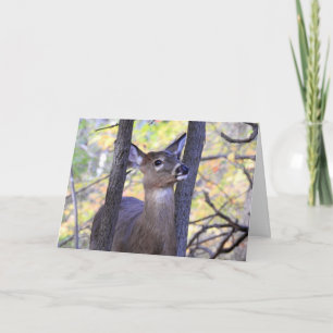 Tarjeta Deer in the Woods / Te amo Deerly
