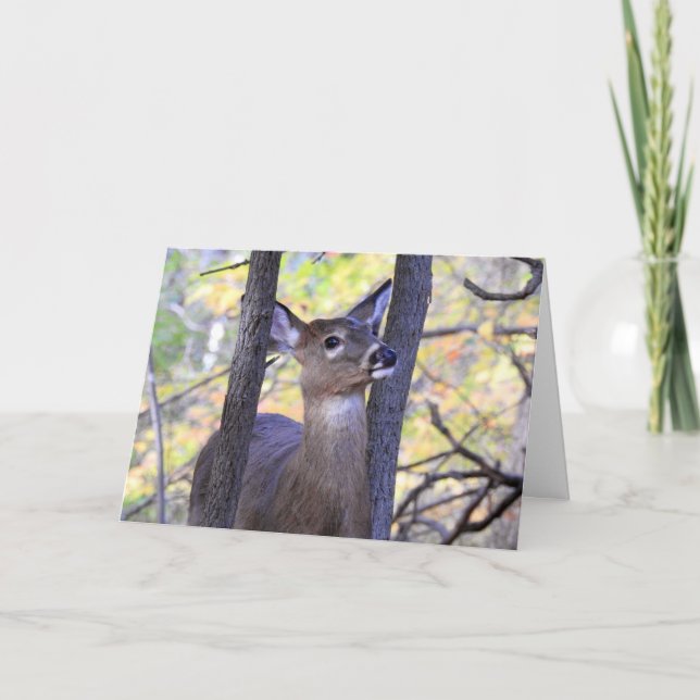 Tarjeta Deer in the Woods / Te amo Deerly (Anverso)