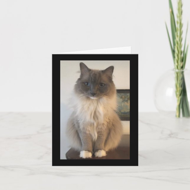 Tarjeta Definición de la CAT (Anverso)