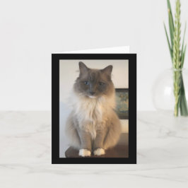 Tarjeta Definición de la CAT