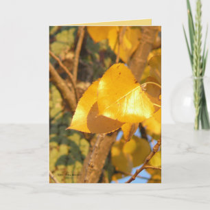 Tarjeta Deja esa charla