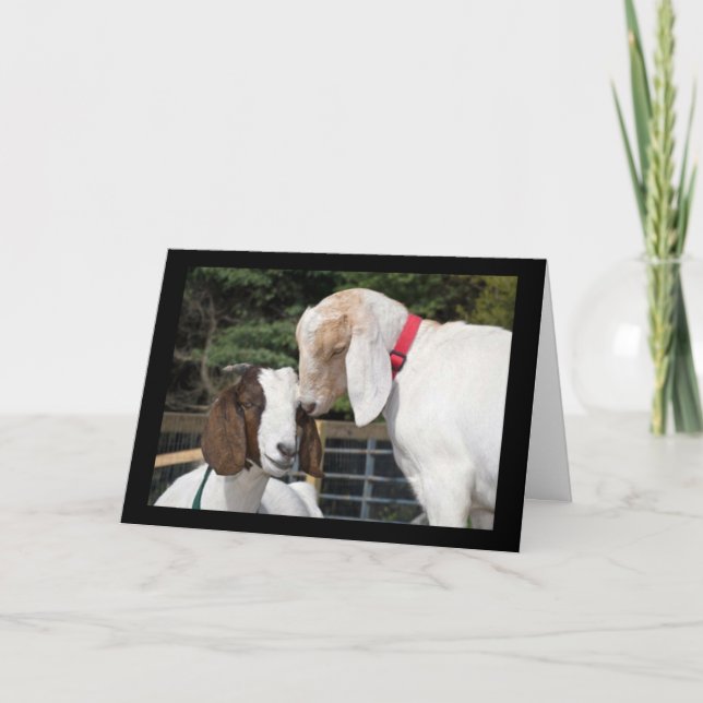 TARJETA DEJA QUE EL "NIÑO" EN TU CUMPLEAÑOS (Anverso)