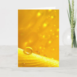 Tarjeta Dejando caer a los recién nacidos, historias de po