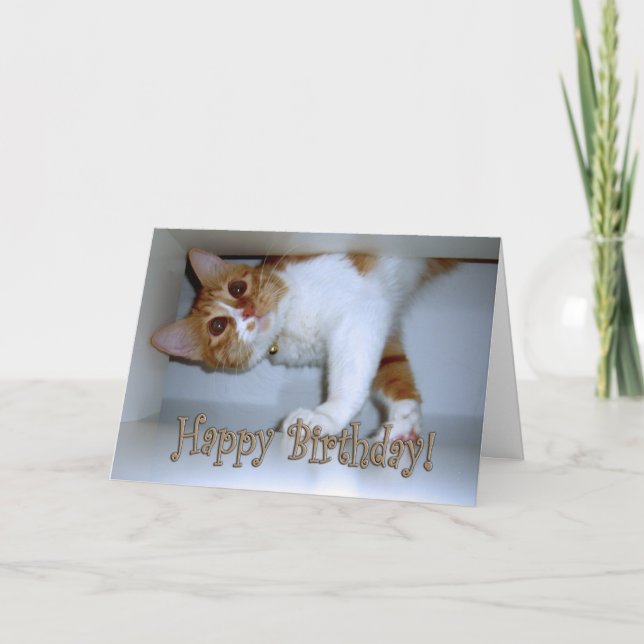 Tarjeta Dejando caer en Kitty - ¡Feliz Cumpleaños! (Anverso)